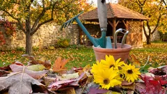 Comment bien préparer son jardin pour l’hiver et favoriser un beau printemps